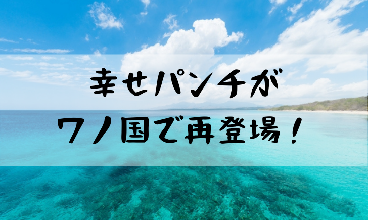 ナミの幸せパンチはアニメの何話 ワノ国で再登場は嬉しいｗ 漫画考察太郎