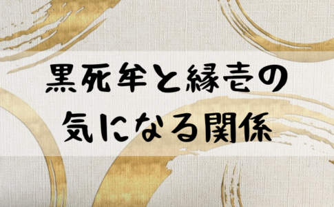 鬼滅の刃 こくしぼう 兄弟
